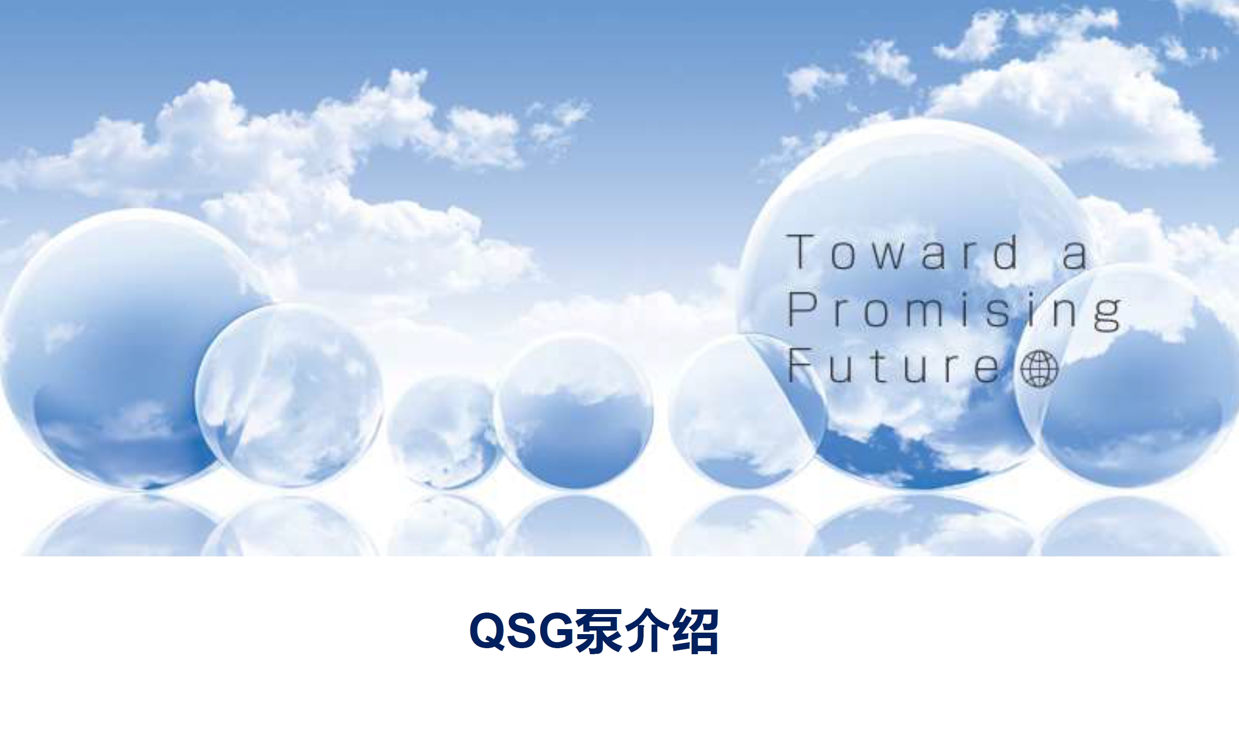 住友QSG泵中文介绍